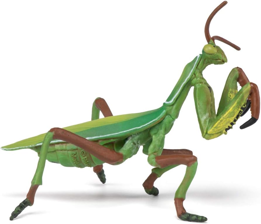 Praying Mantis, L: 10 cm