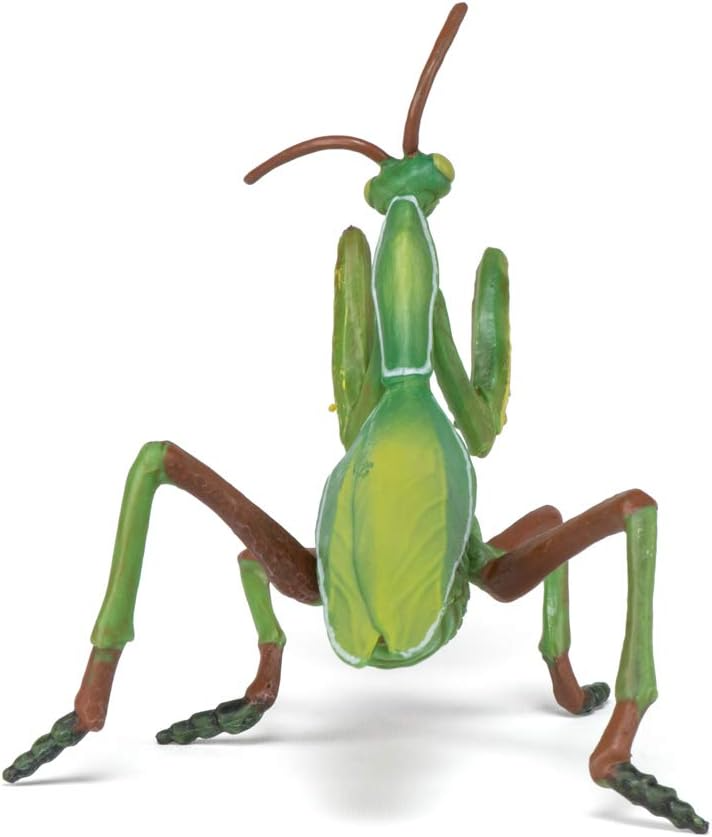 Praying Mantis, L: 10 cm