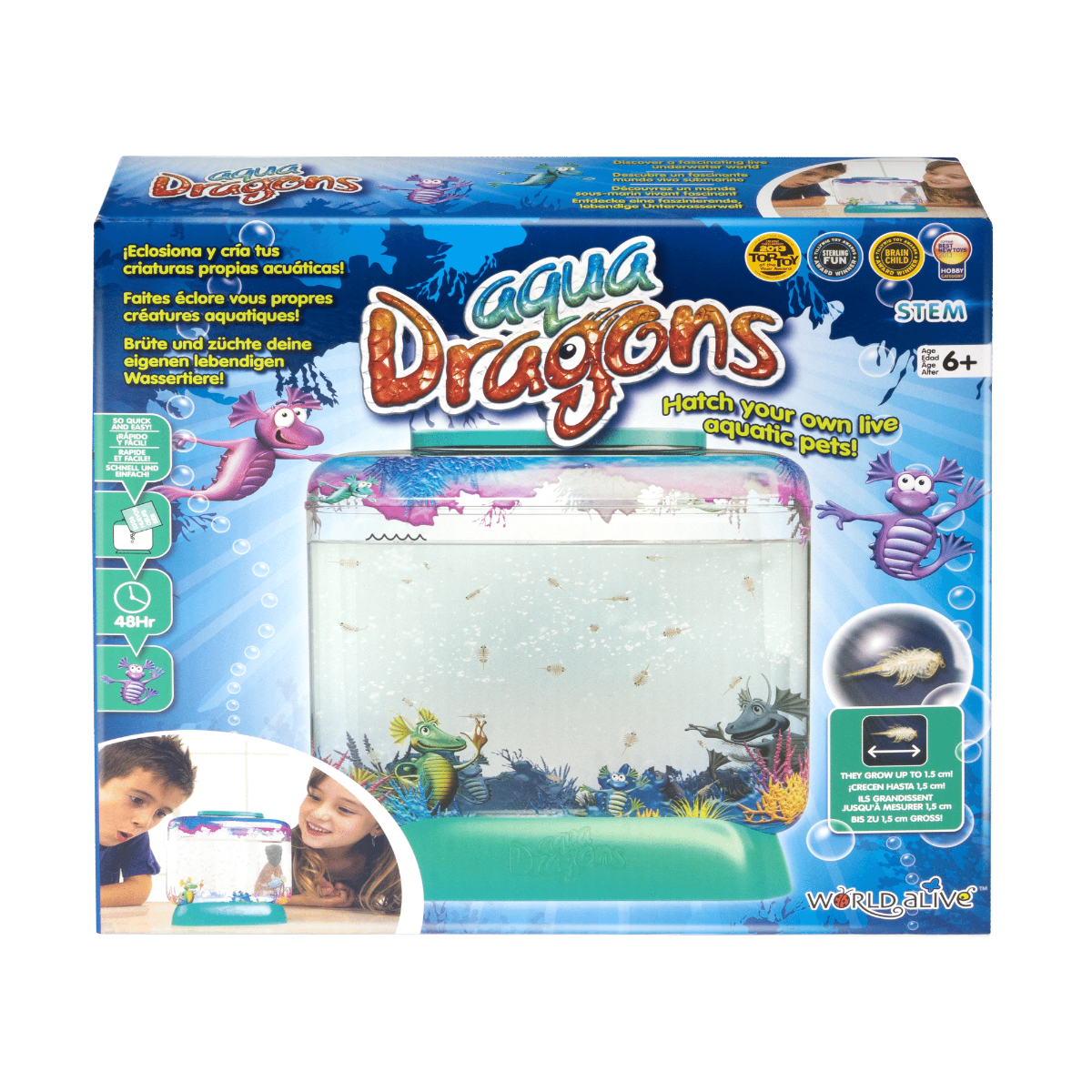Aqua Dragons in Aquarium