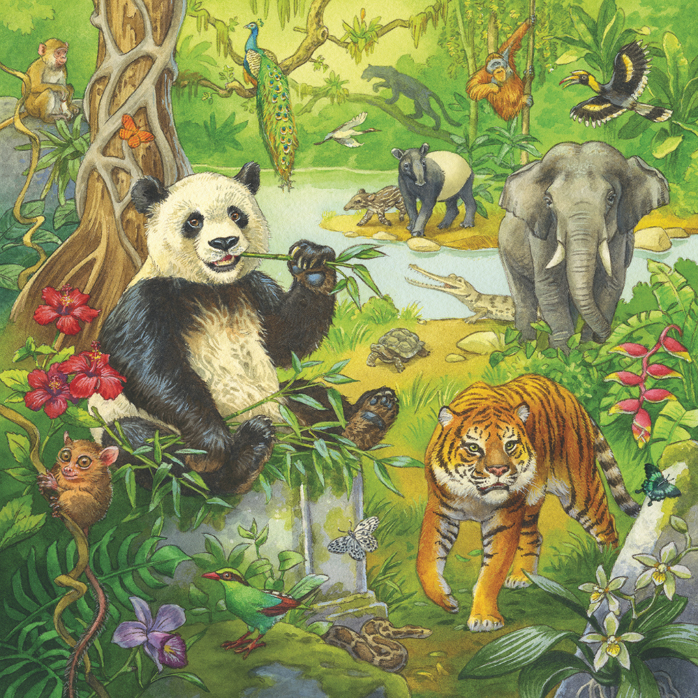 Puzzle with 3 x 49 pcs - Jungle