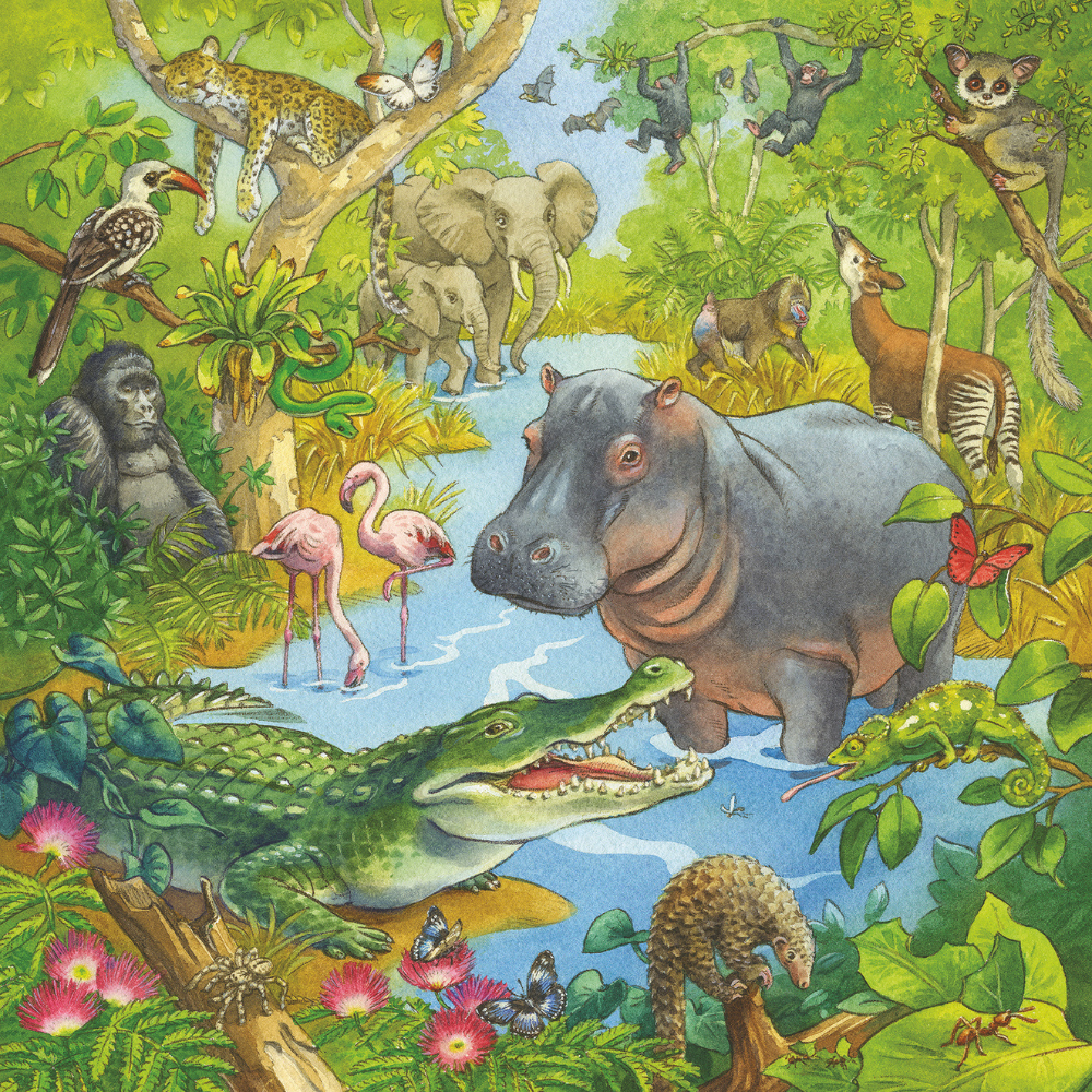 Puzzle with 3 x 49 pcs - Jungle