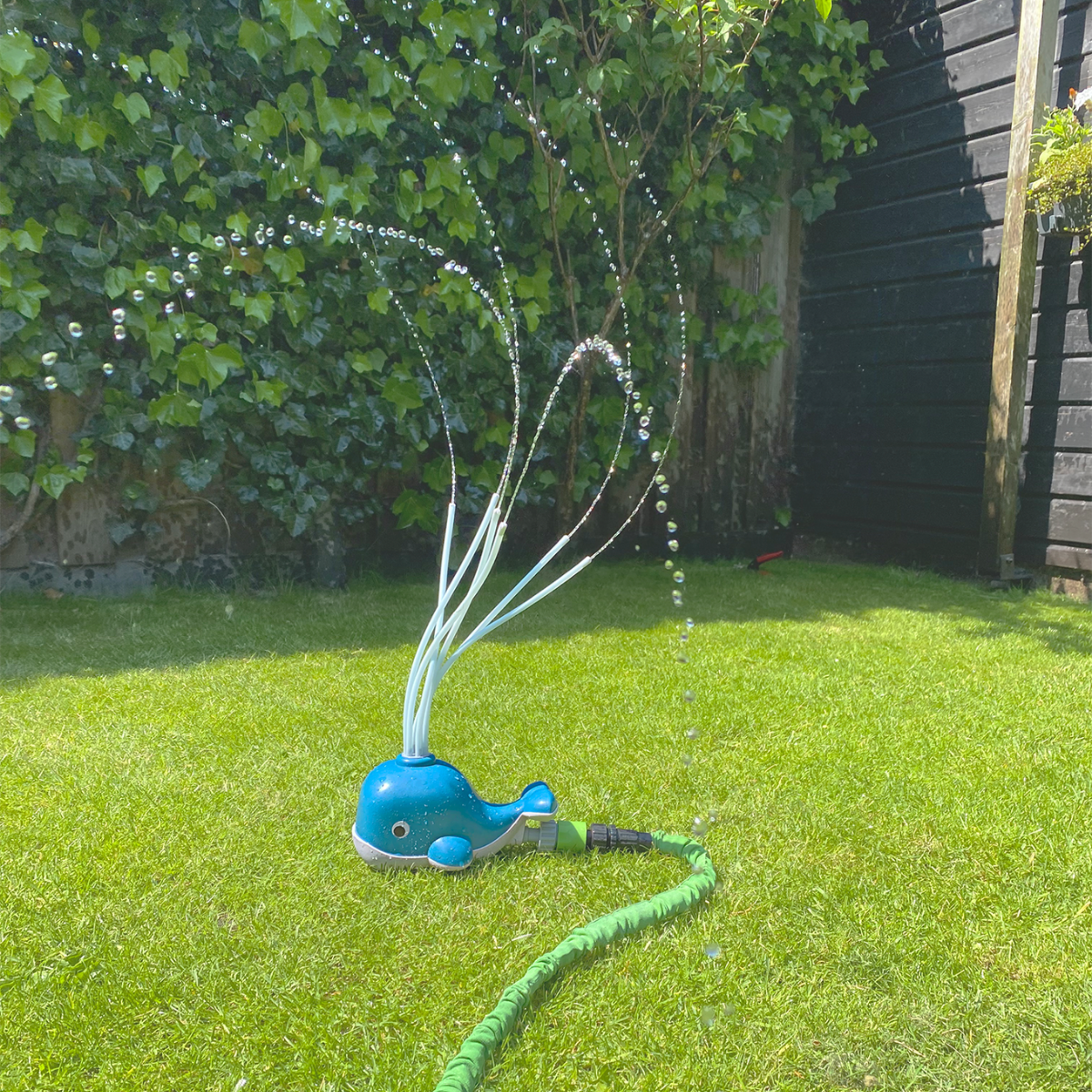 Water Play - Water Spraying Whale