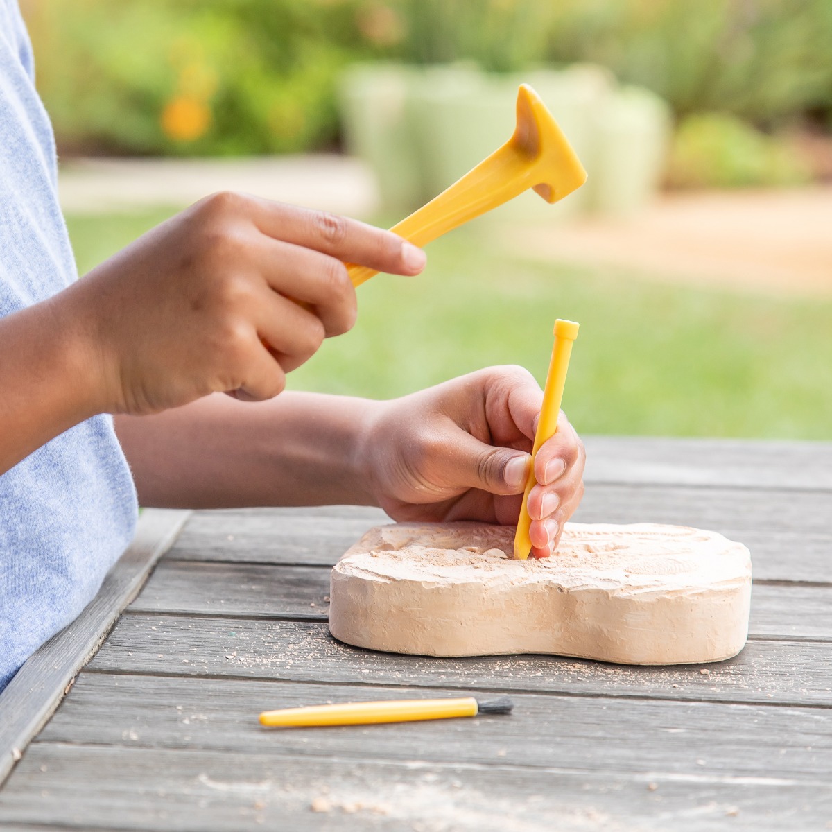 Fossil Excavation Kit
