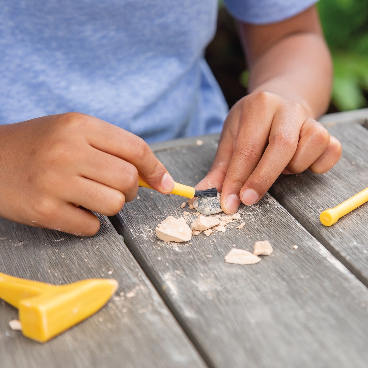 Fossil Excavation Kit