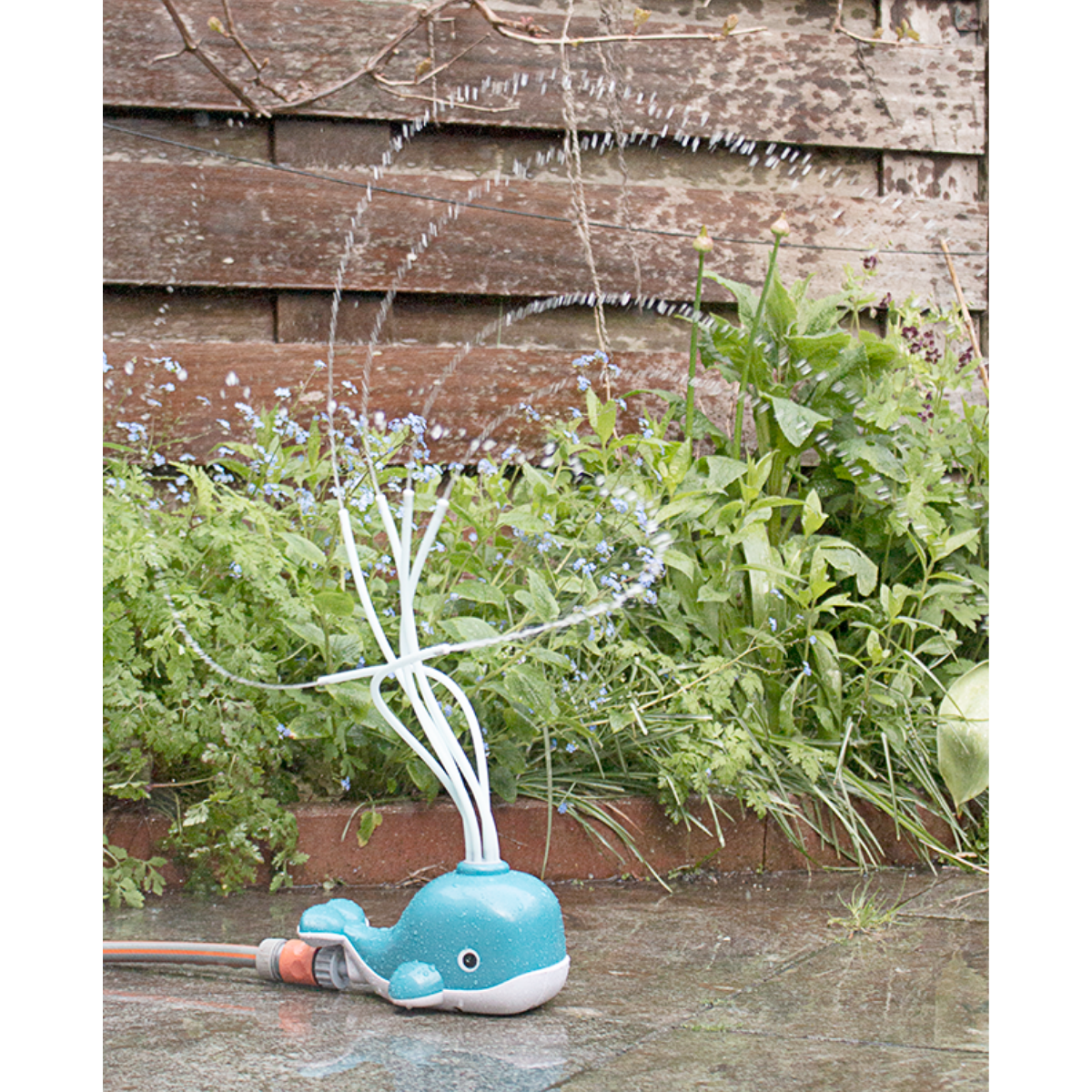Water Play - Water Spraying Whale