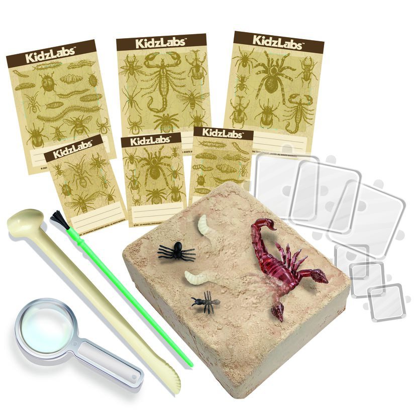 Creepy Crawly Digging Kit