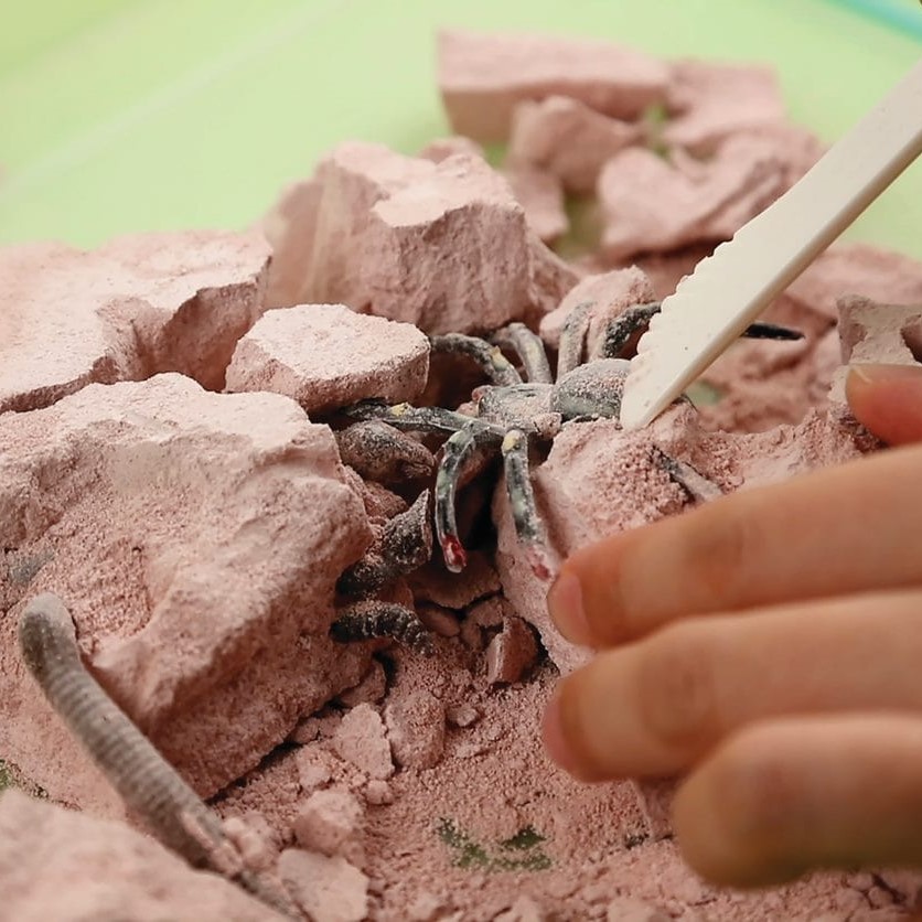 Creepy Crawly Digging Kit