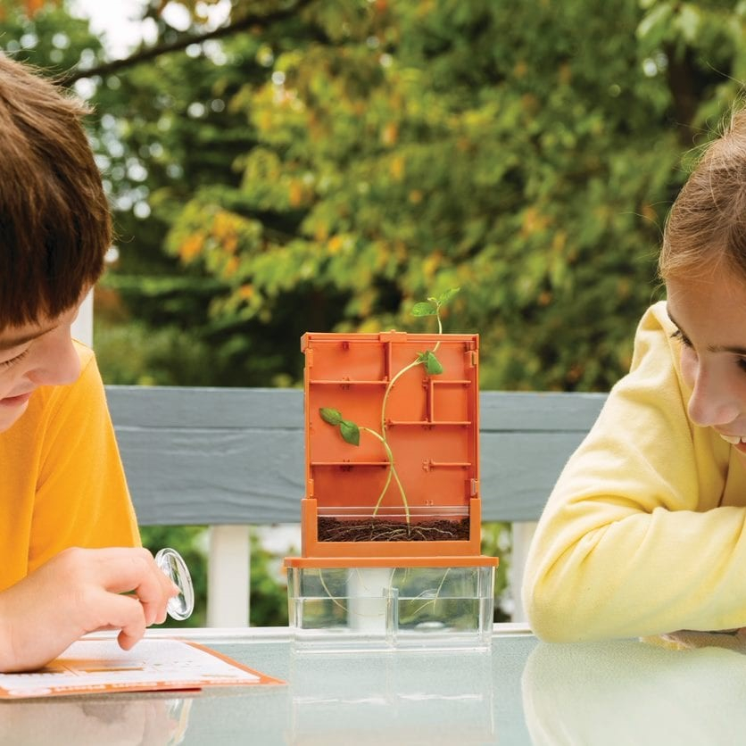 Environmental Science Discovery and Activity Kit