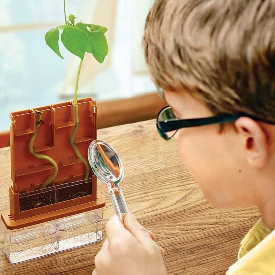 Environmental Science Discovery and Activity Kit