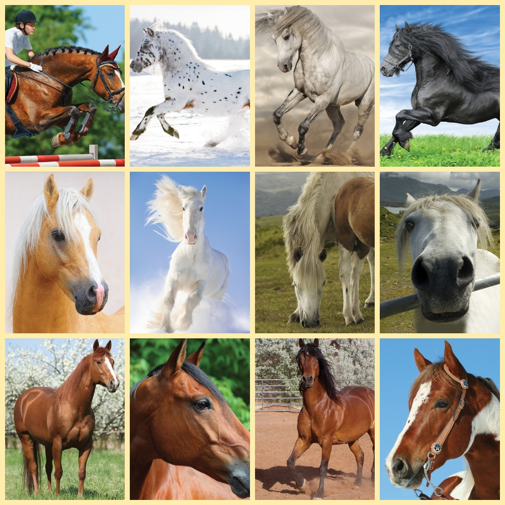 Torch Projector with Slides - Horses