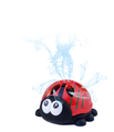 Water Play - Ladybug Sprinkler thumbnail
