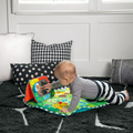 Baby Einstein - Discovery Garden Mat & Mirror thumbnail