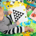 Baby Einstein - Discovery Garden Mat & Mirror thumbnail