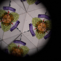 Kaleidoscope - Harvest thumbnail
