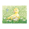 Cube Puzzle - Farm Animals, 9 Cubes thumbnail