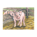 Cube Puzzle - Farm Animals, 9 Cubes thumbnail