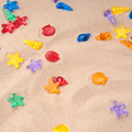 Translucent Colour Shells, 72 pcs thumbnail