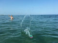 Wave Jumper Ball thumbnail