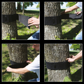 Schildkröt Accesory - Tree Protector thumbnail