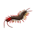 Centipede, 23 cm thumbnail
