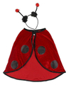 Ladybug Costume, 18-36 months thumbnail