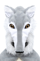 Wolf Costume with Paws, 18-36 months thumbnail