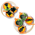 "Buggy" Bug Viewer with Microscope + Magnifier thumbnail