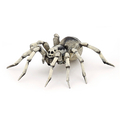Tarantula, Ø11.5 cm thumbnail