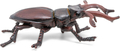 Stag Beetle, L: 7 cm thumbnail