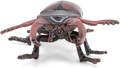Stag Beetle, L: 7 cm thumbnail