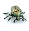 Green June Bug, L: 4 cm thumbnail