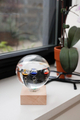 Galileo Thermometer thumbnail