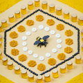 Discovery Bottle - Bees thumbnail