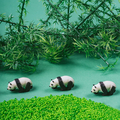 Discovery Bottle - Panda thumbnail