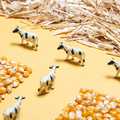 Discovery Bottle - Farm Life thumbnail
