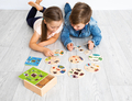Layered Puzzle - Animal Species thumbnail