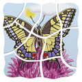 Layered Puzzle - Butterfly Life Cycle thumbnail