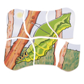 Layered Puzzle - Butterfly Life Cycle thumbnail