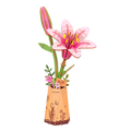 Build-a-Flower - Pink Lily thumbnail