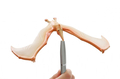 Balancing Pteranodon Toy thumbnail