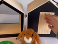 Rabbit Hutch and Run thumbnail