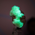 Playfoam 8-Pack - Glow in the Dark thumbnail