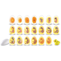 Chick Life Cycle Exploration Set thumbnail