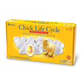 Chick Life Cycle Exploration Set thumbnail
