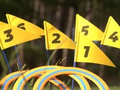 Disc Golf thumbnail