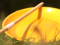 Spinning Plate thumbnail