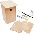 Build and Paint Your Own Bird House thumbnail