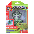 Dissect It - Mini Frog Lab thumbnail