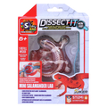 Dissect It - Mini Salamander Lab thumbnail