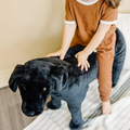 Lifelike Stuffed Animal - Black Lab thumbnail